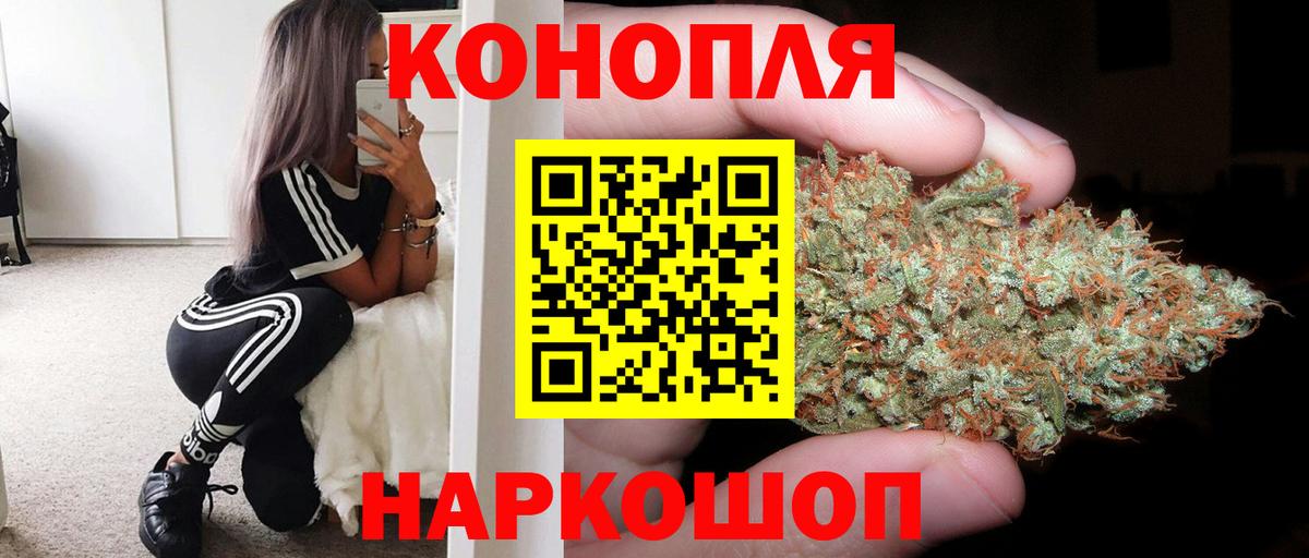 Бошки марихуана план  Конопля марихуана  Унеча  Конопля марихуана  Вход с VPN 